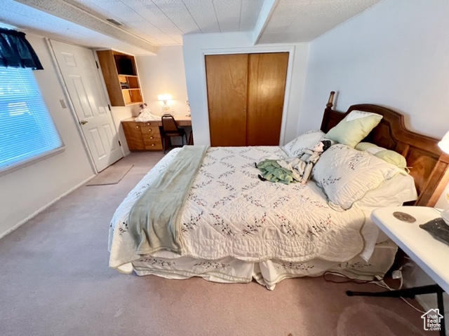 Bedroom featuring light carpet, a textured ceiling, and a closet