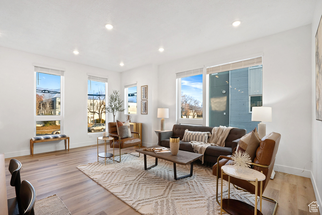 Living room featuring light hardwood / wood-style floors