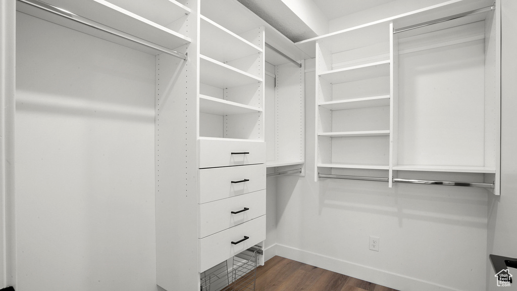 Spacious closet with dark hardwood / wood-style flooring