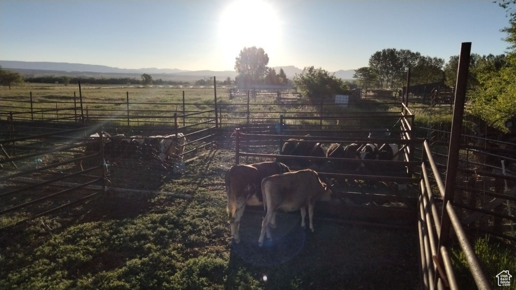 View of yard with a rural view