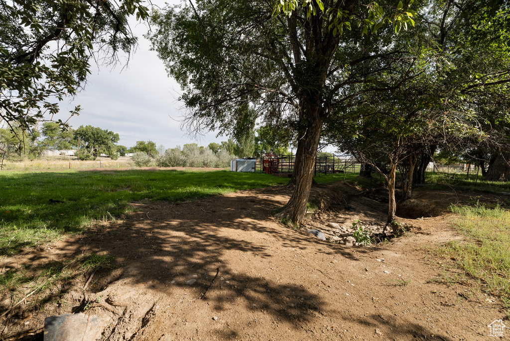 View of yard with a rural view
