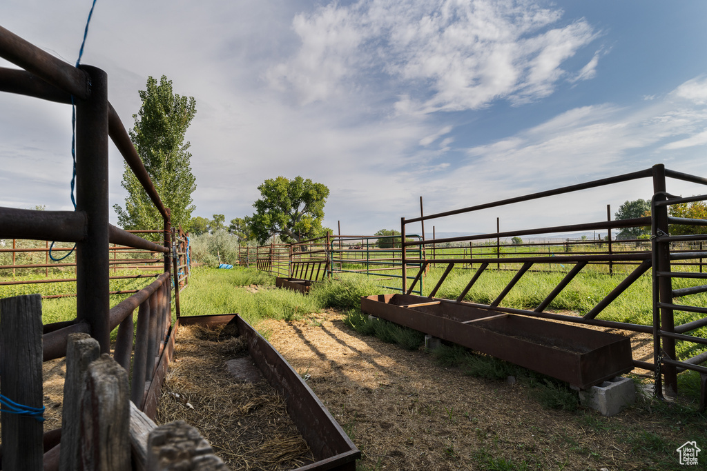 View of yard featuring a rural view