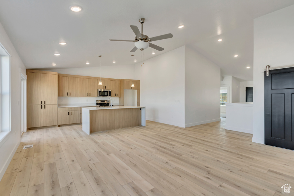 Kitchen with appliances with stainless steel finishes, a barn door, decorative light fixtures, and light hardwood / wood-style floors