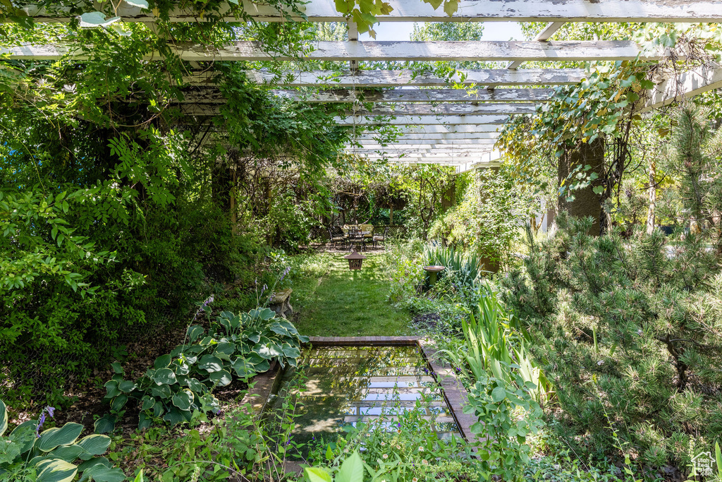 View of yard featuring a pergola