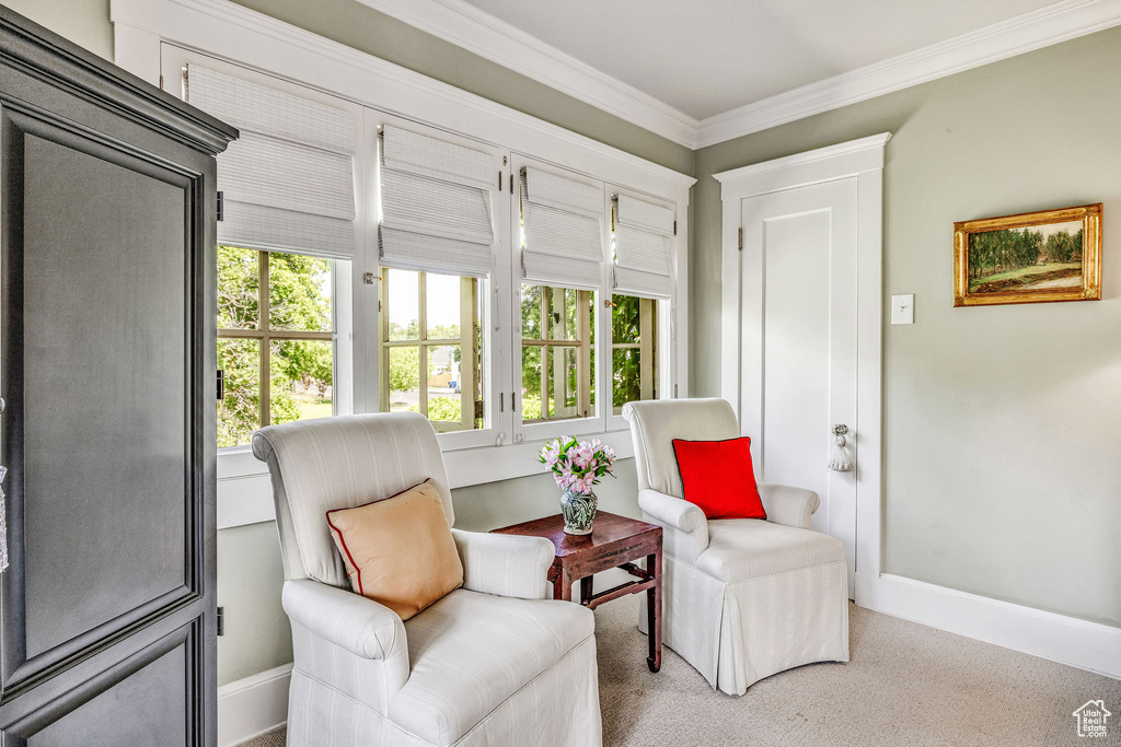 Living area featuring carpet flooring and ornamental molding