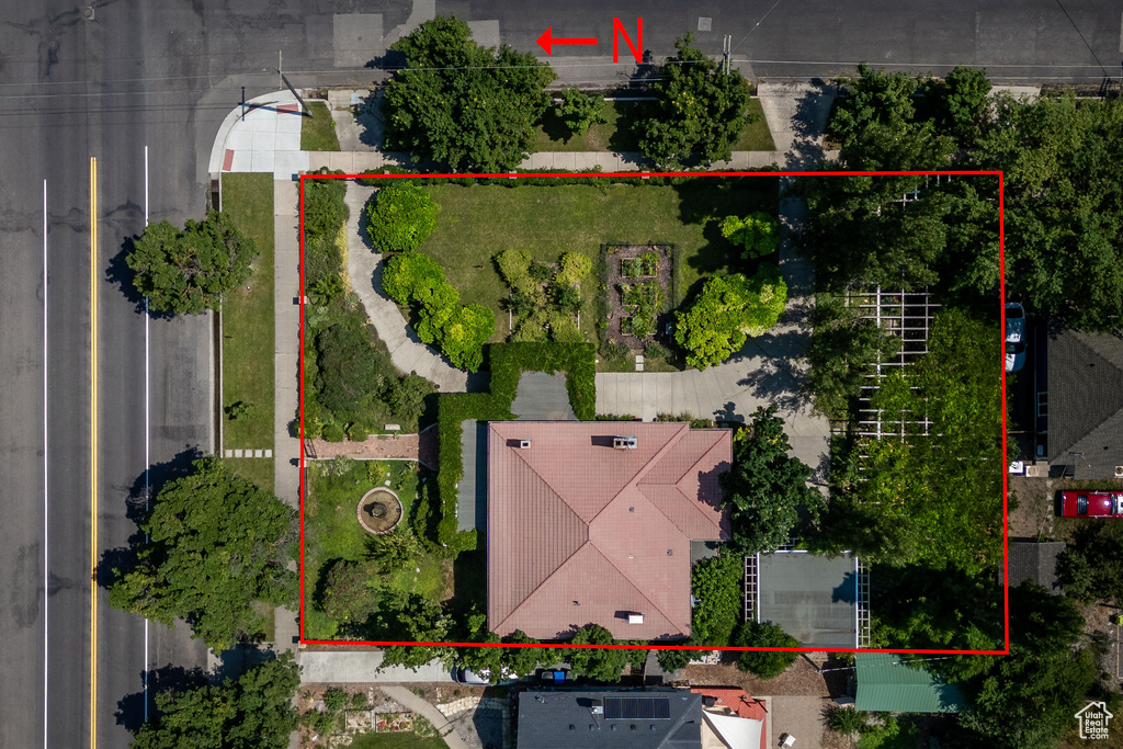 Drone / aerial view