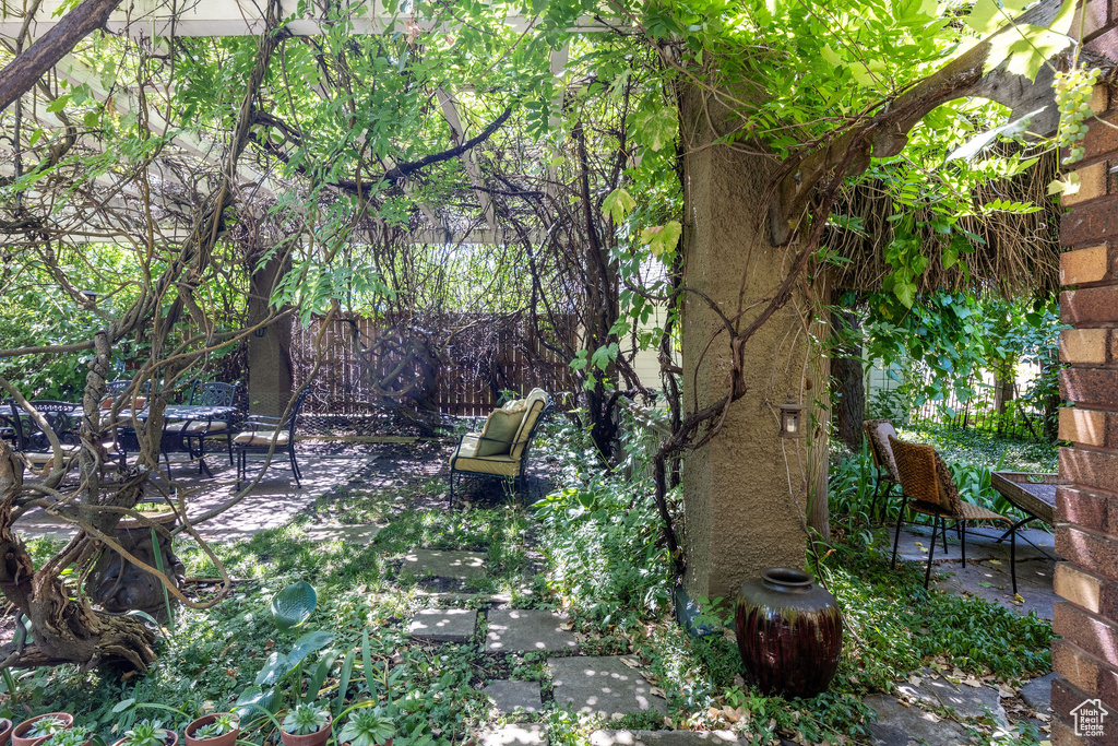 View of yard featuring a patio