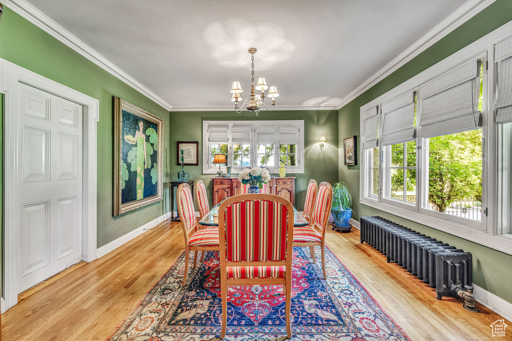 Dining space with radiator heating unit, light hardwood / wood-style flooring, a healthy amount of sunlight, and crown molding