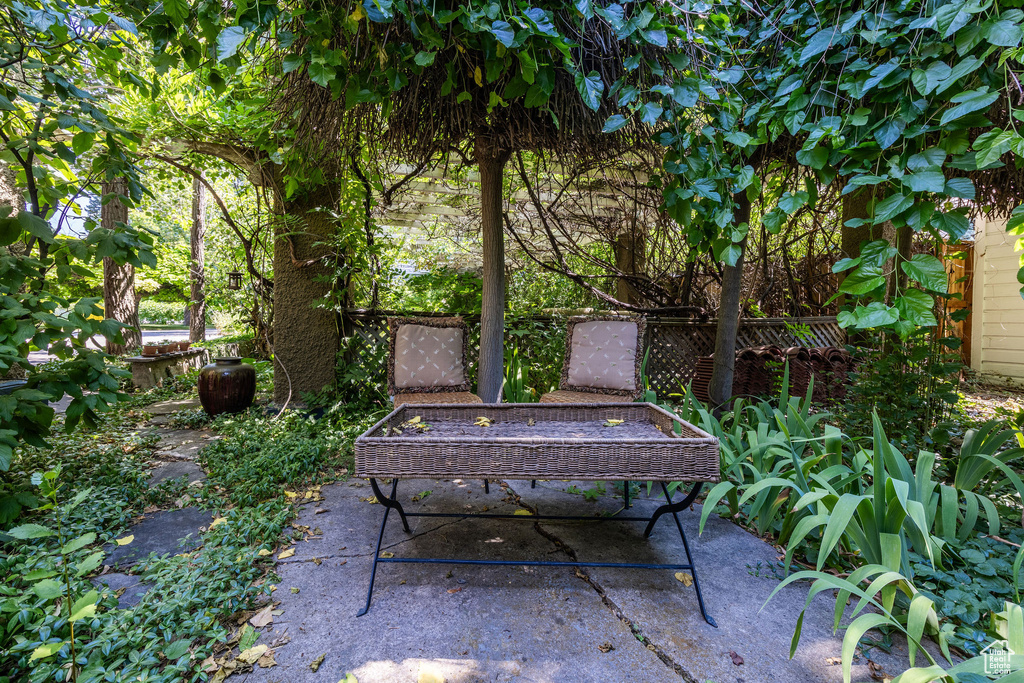 View of patio