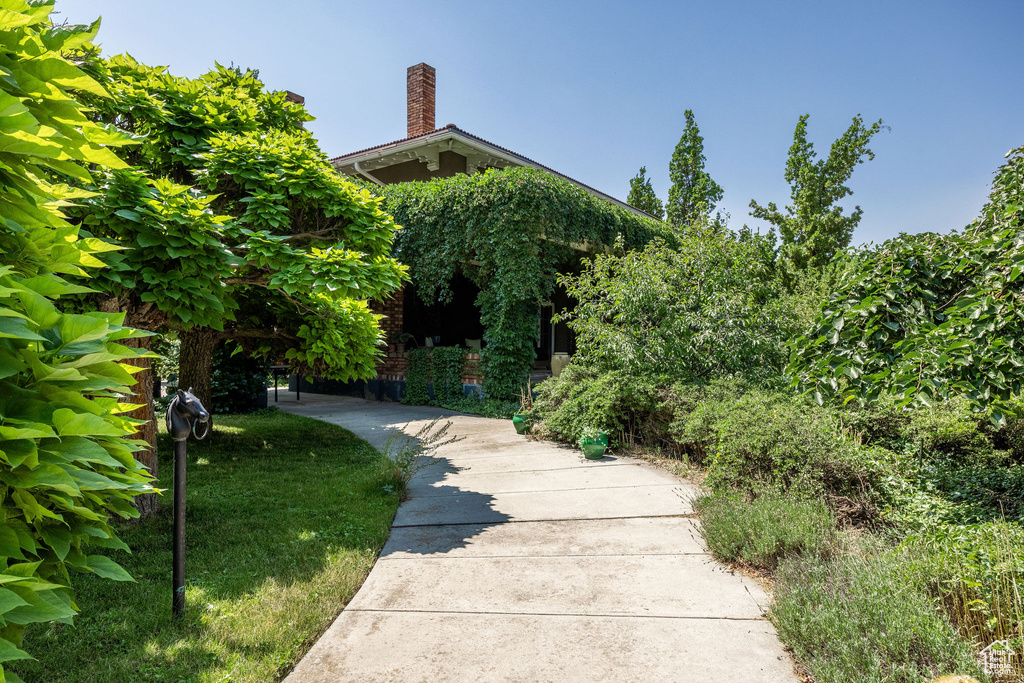 View of community featuring a yard