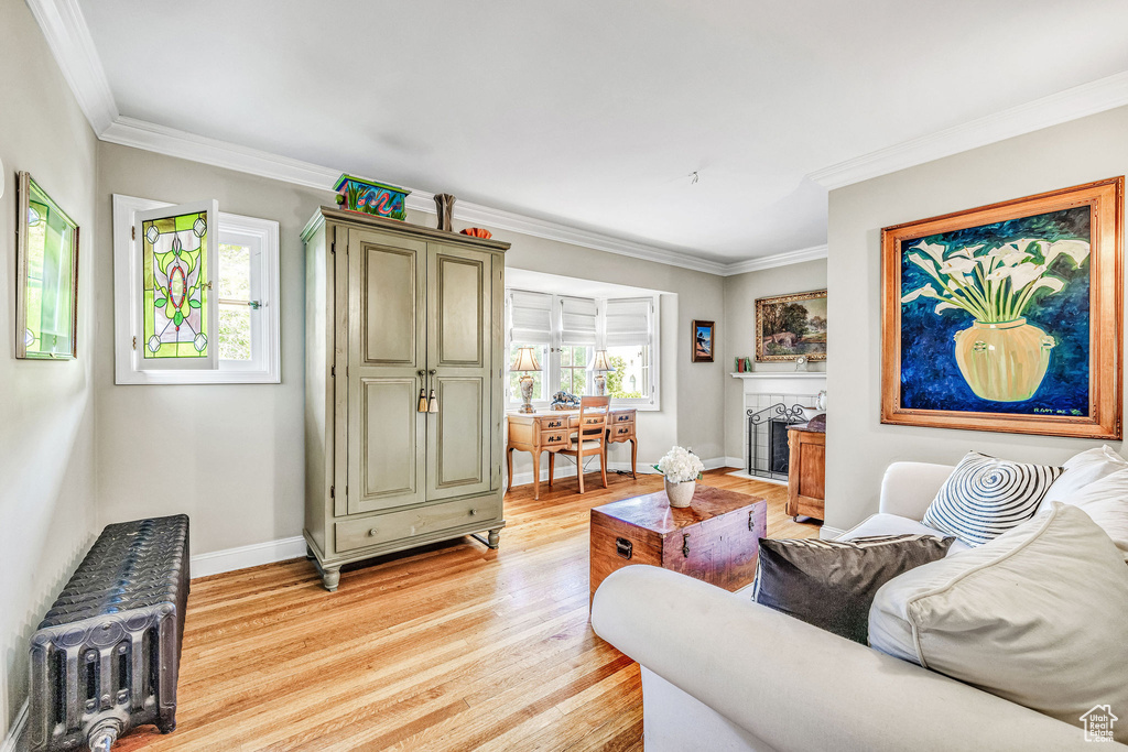 Living room featuring radiator heating unit, crown molding, and light wood-type flooring