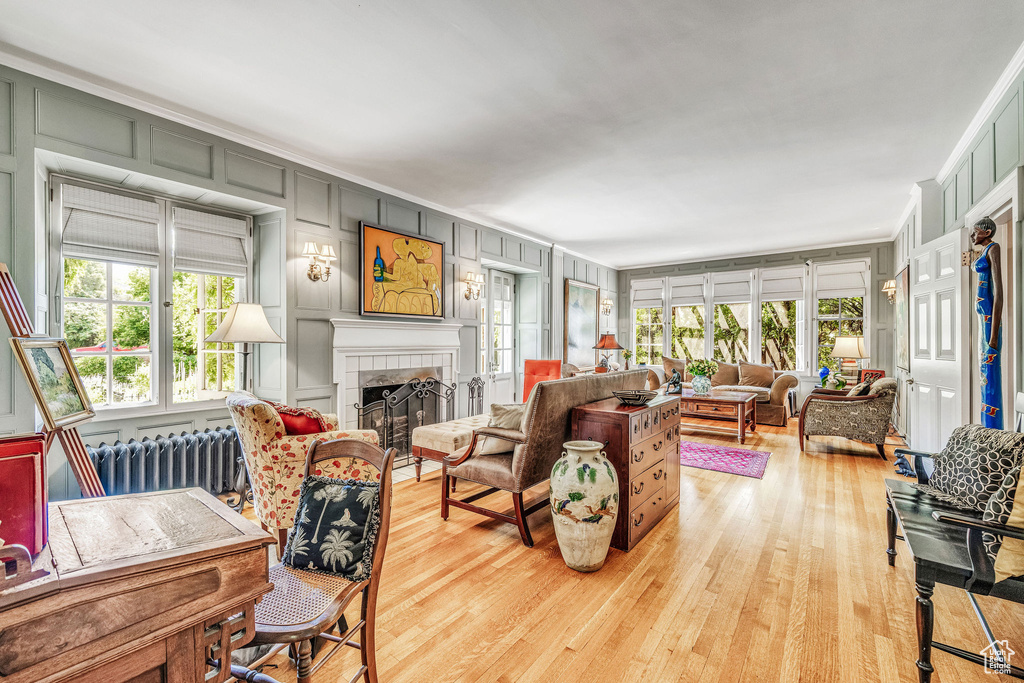 Living room featuring a wealth of natural light, radiator heating unit, a fireplace, and light hardwood / wood-style floors