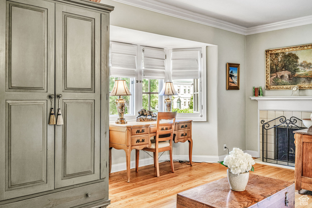 Interior space with ornamental molding, light hardwood / wood-style flooring, and a fireplace