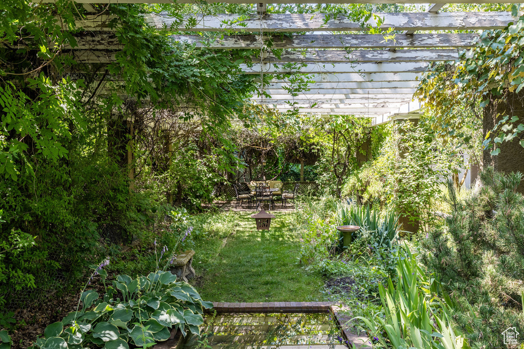 View of yard with a pergola