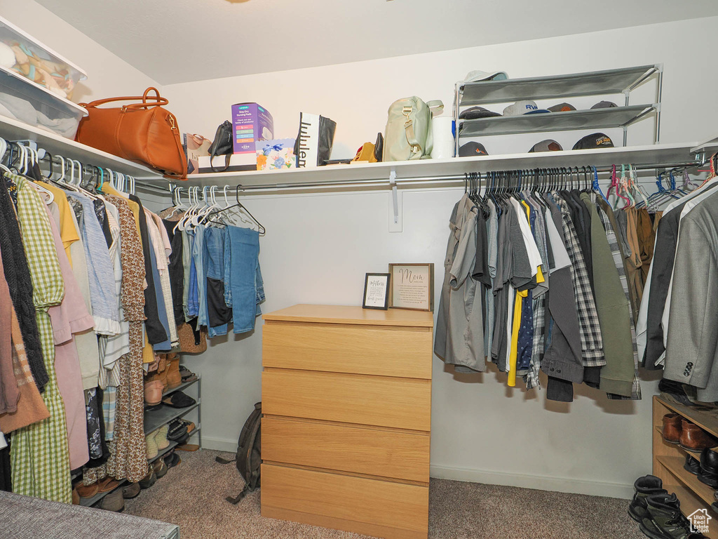 Spacious closet with carpet flooring