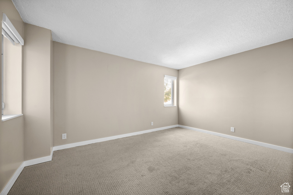 Unfurnished room featuring carpet flooring and a textured ceiling