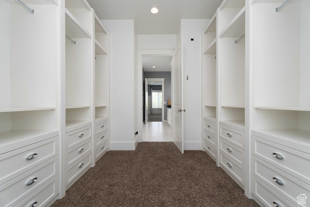 Spacious closet featuring dark colored carpet