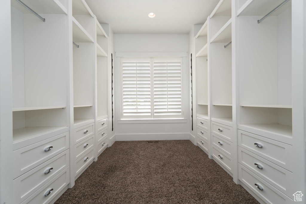 Spacious closet with dark carpet