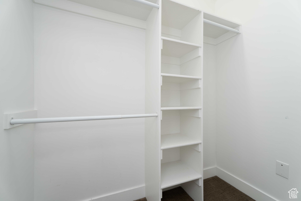 Walk in closet featuring carpet floors