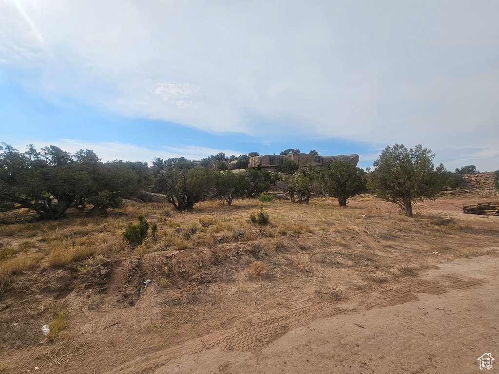 View of nature featuring a rural view