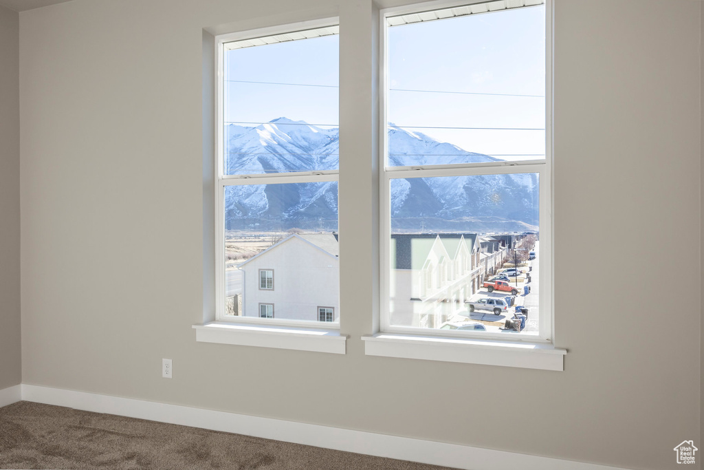 Details featuring a mountain view and carpet flooring