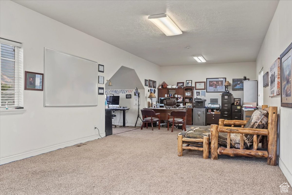 Living area featuring a textured ceiling and light colored carpet