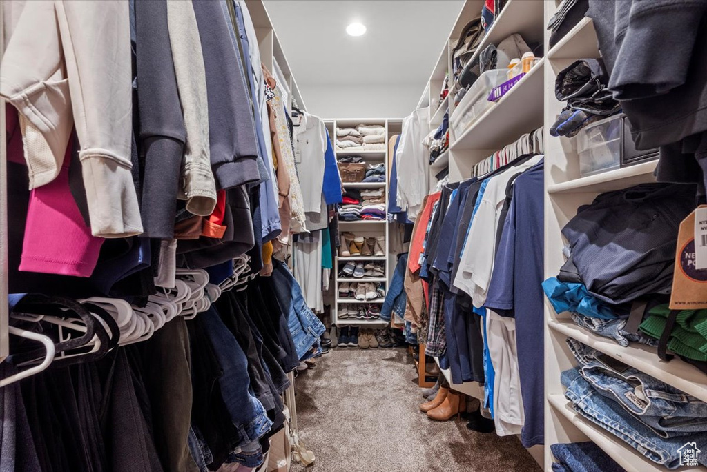 Walk in closet with carpet