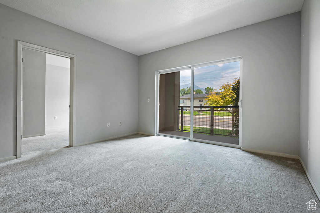 Unfurnished room with light carpet