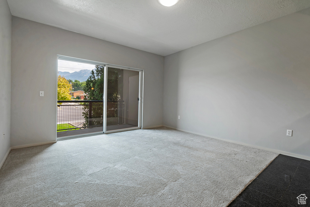 Carpeted empty room with a textured ceiling