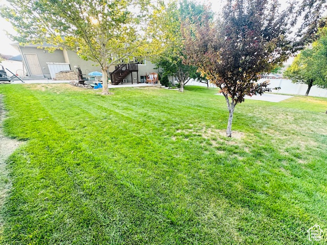 View of yard featuring a patio