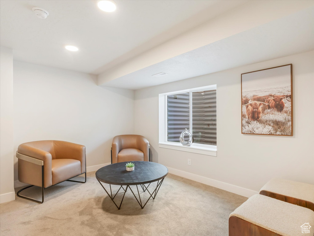 Sitting room with light carpet