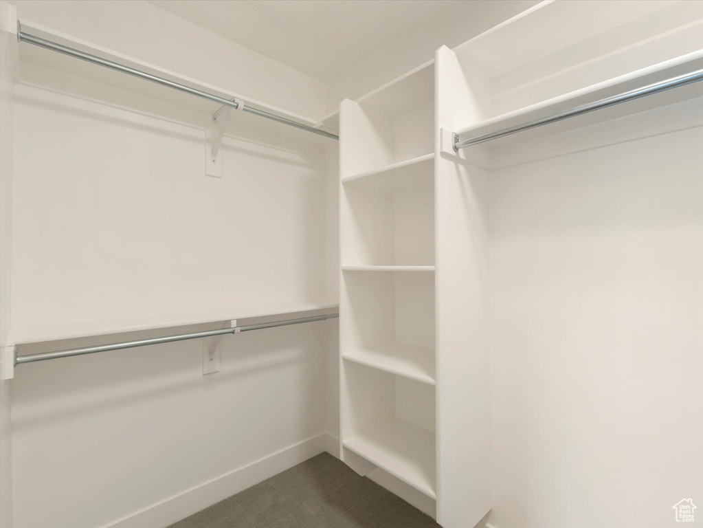 Walk in closet with dark carpet