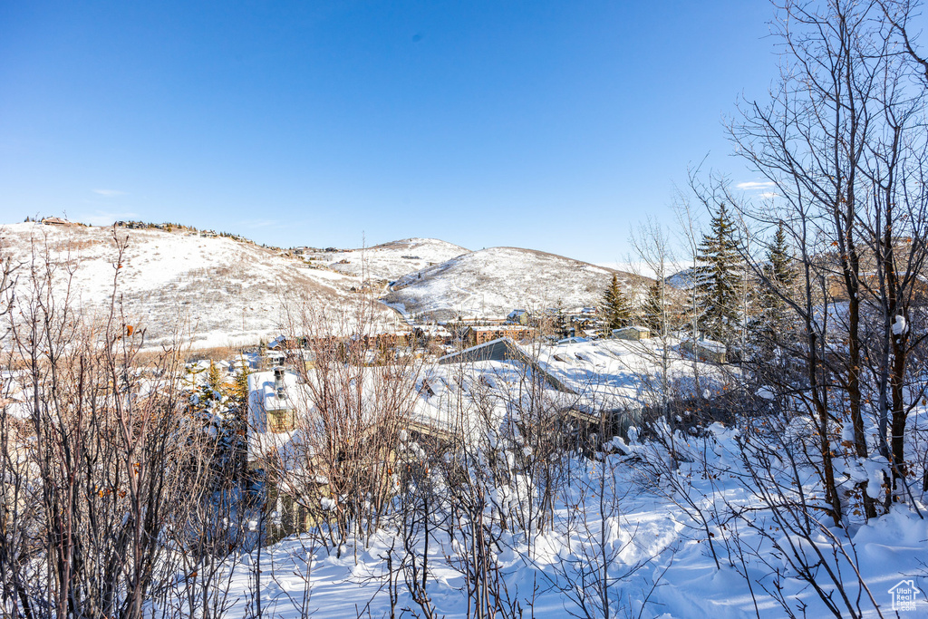 Property view of mountains