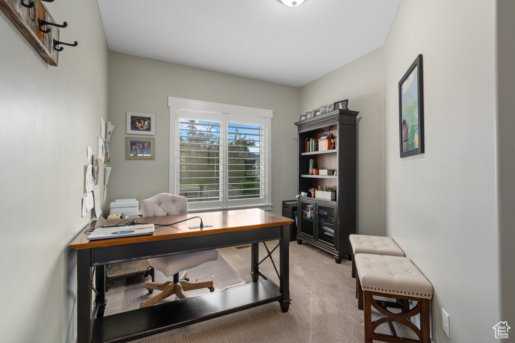 Office area with carpet floors