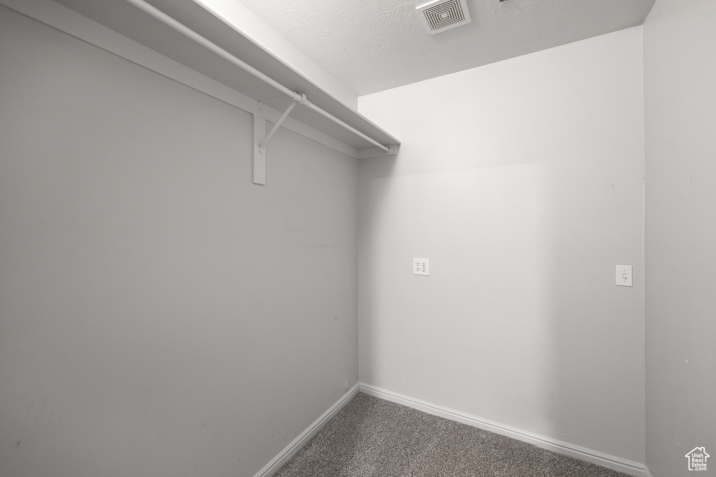 Spacious closet with carpet