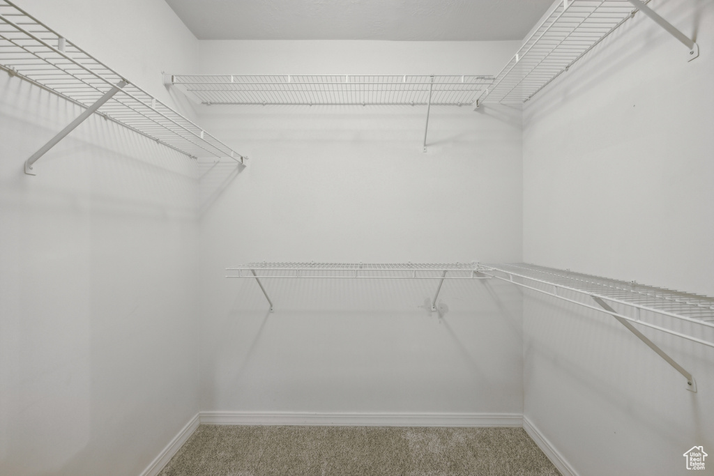 Spacious closet with carpet floors