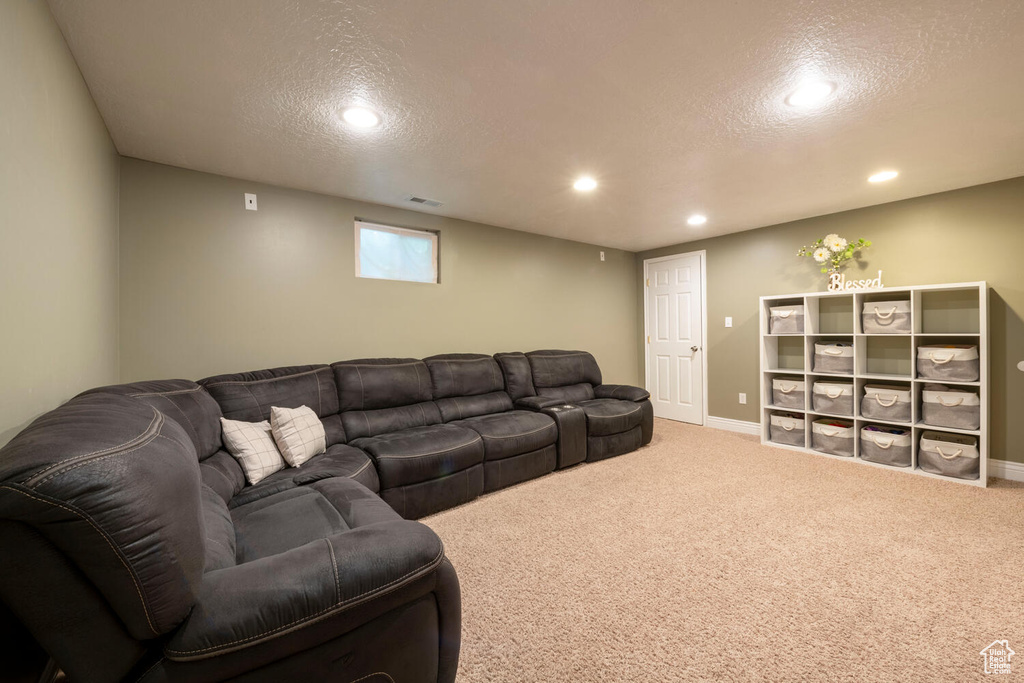 Carpeted living room featuring a textured ceiling