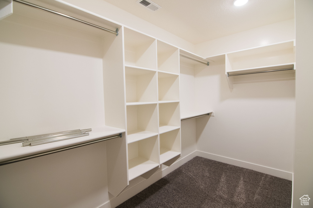 Spacious closet with carpet