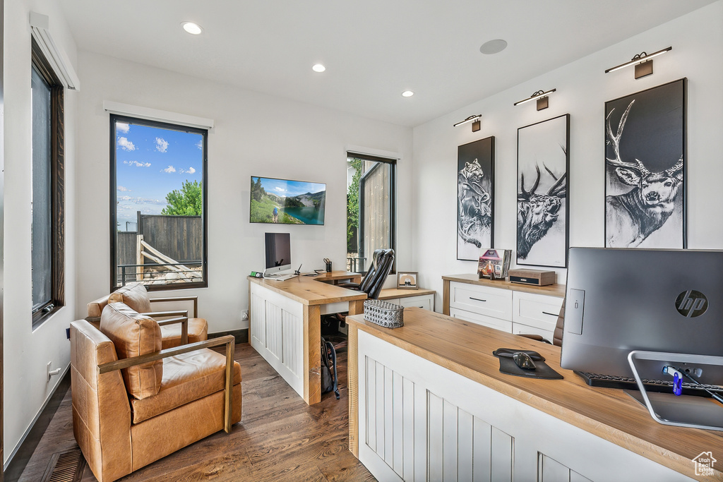 Office space featuring wood-type flooring