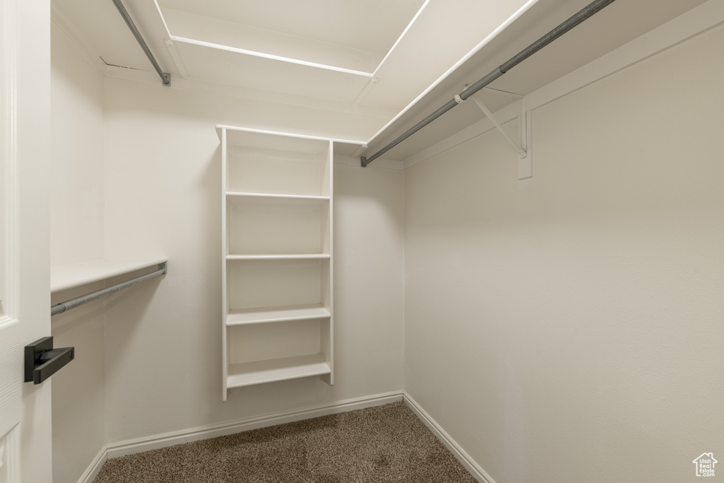 Spacious closet with carpet flooring