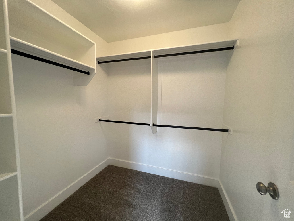 Spacious closet with carpet