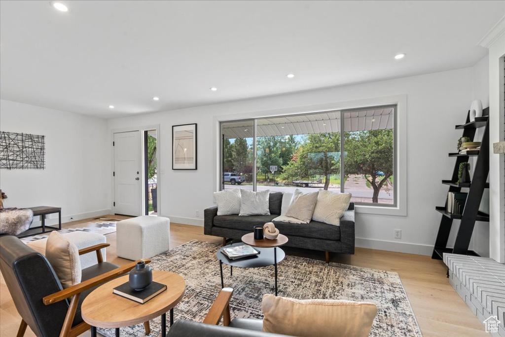 Living room featuring light hardwood / wood-style flooring