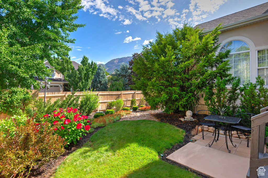 View of yard featuring a patio and a mountain view