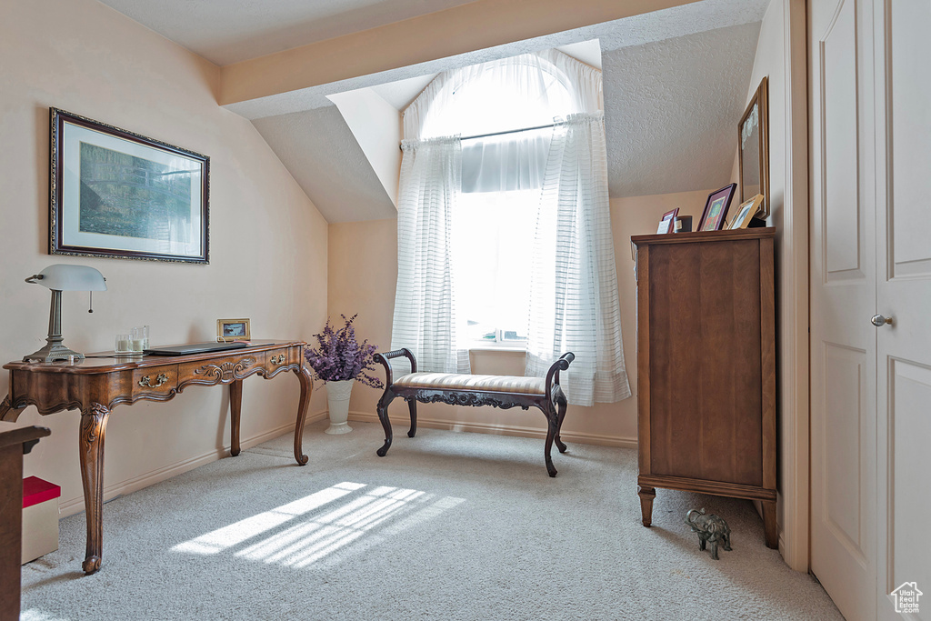 Living area featuring a textured ceiling, vaulted ceiling, and light colored carpet