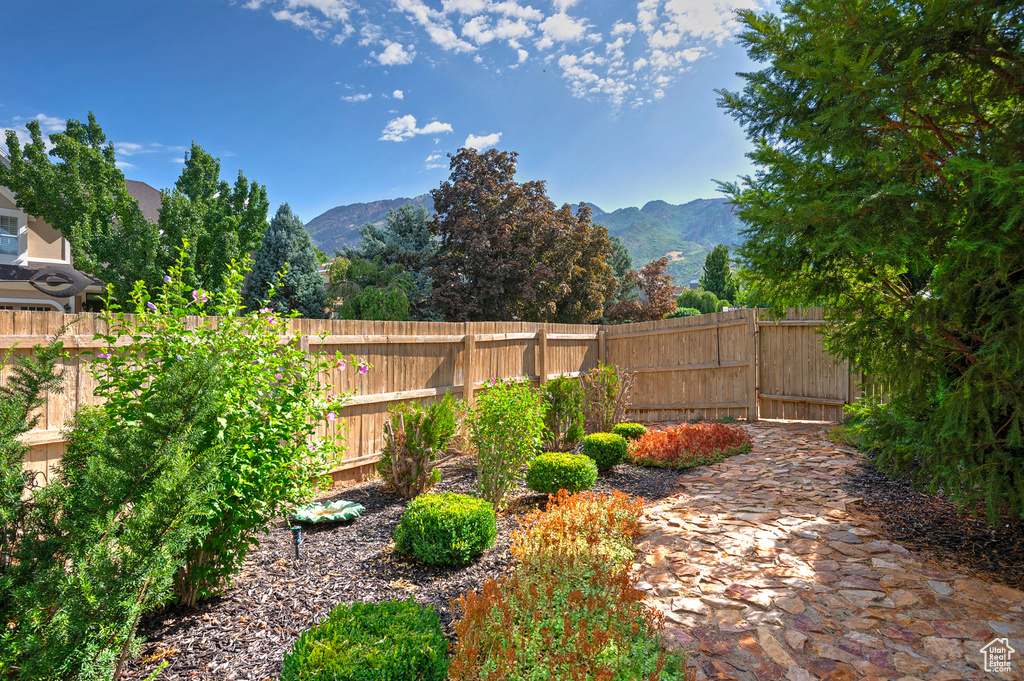 View of yard with a mountain view