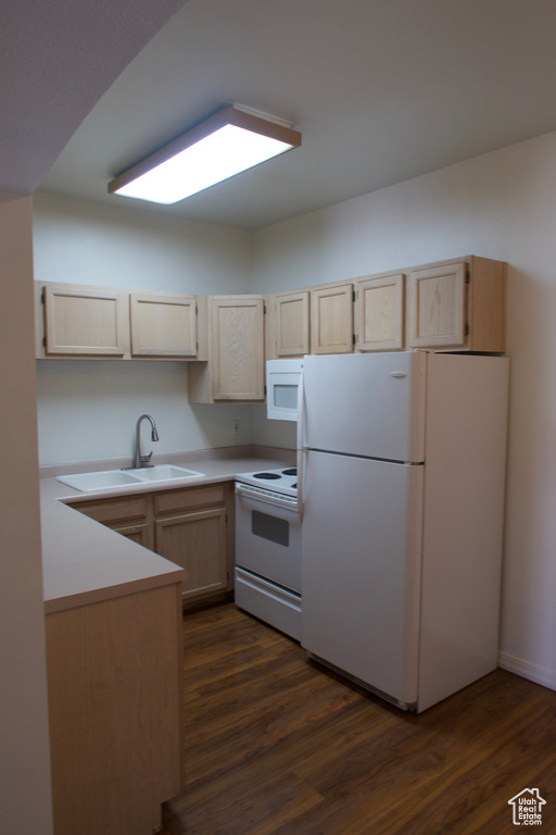 Kitchen with light brown cabinetry, sink, dark hardwood / wood-style flooring, and white appliances