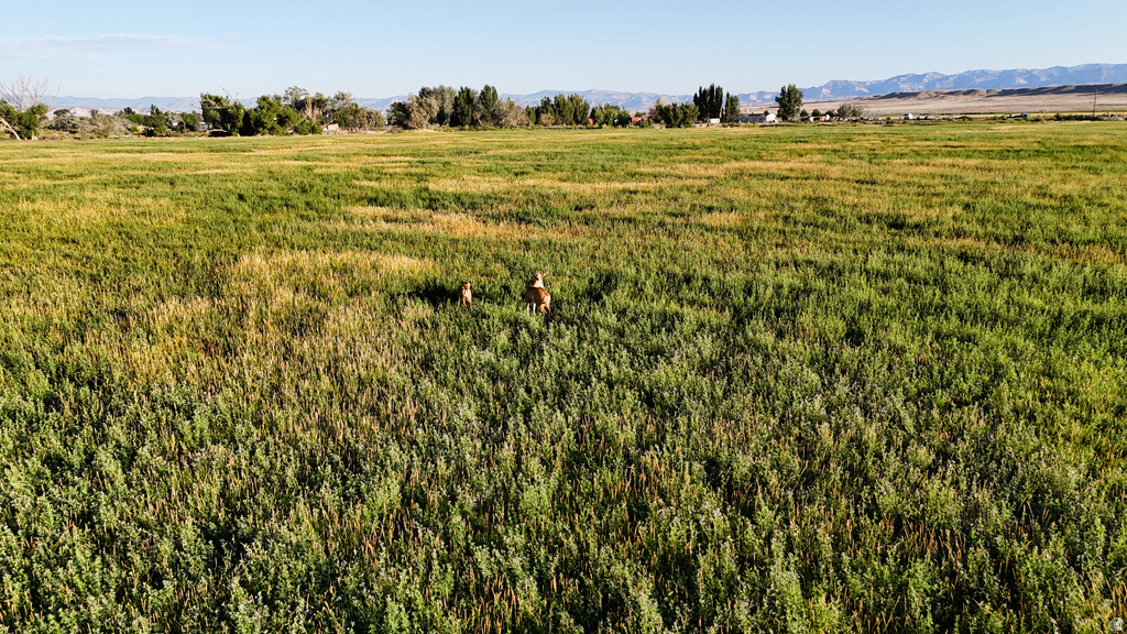 7250 S HANLEY LN Price, UT 84501