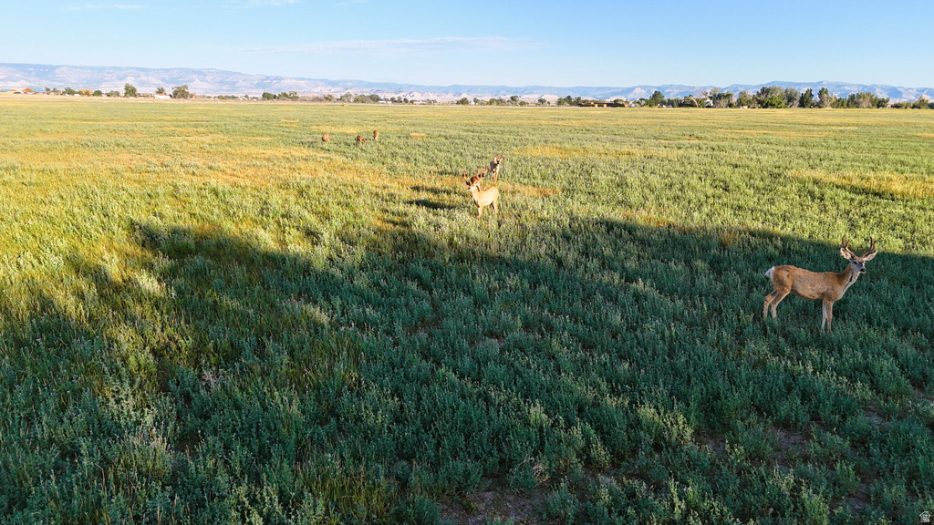 7250 S HANLEY LN Price, UT 84501