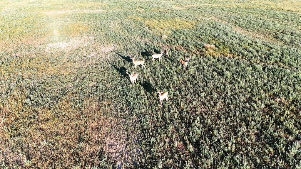 7250 S HANLEY LN Price, UT 84501