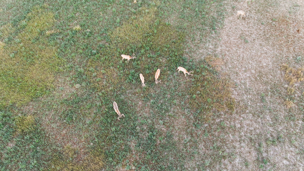 7250 S HANLEY LN Price, UT 84501